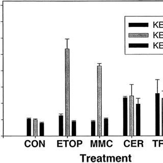 Effects Of Etoposide Mitomycin C C Ceramide And Trail On Caspase