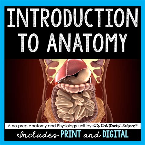 Introduction To Anatomy Unit Shop It S Not Rocket Science