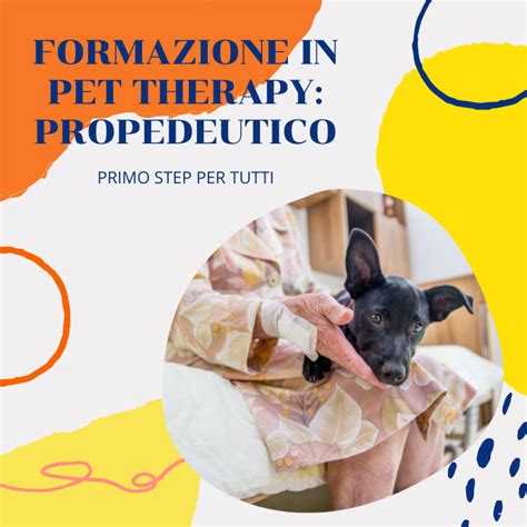 Corsi Pet Therapy E Formazione Cinofila Killia Formazione