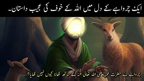 Charwaha Aur Allah Ka Khof Islamic Stories Moral Stories Urdu