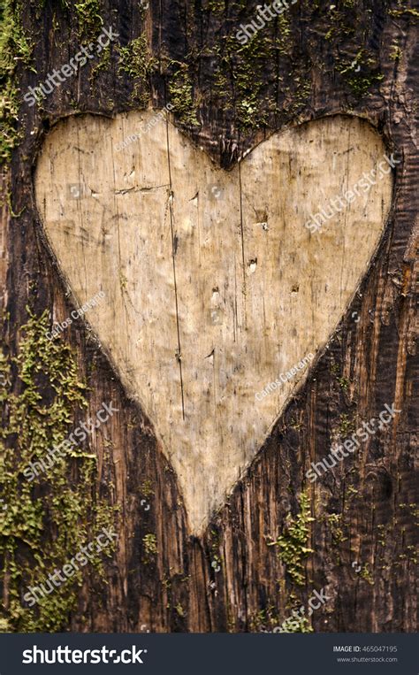 Heart Carved In Tree Wedding