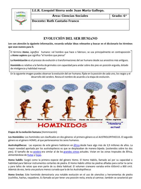 Etapas Evolucion Del Ser Humano Grado Sexto Pdf Evolución Humana Homo