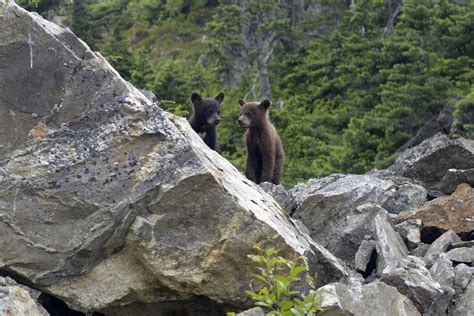 Photographing Alaska