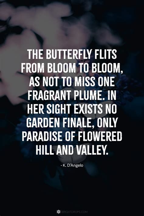 149 Beautiful Butterfly Quotes - Bright Drops