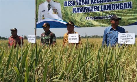 Sektor Pertanian Lamongan Penyumbang Pertumbuhan Ekonomi Di Masa