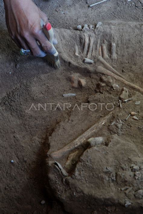 PENEMUAN RANGKA MANUSIA PRASEJARAH ANTARA Foto