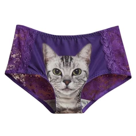 Buy Cats Underwear Women Briefs Sexy Lace Seamless Anti Emptied 3d Short Pants