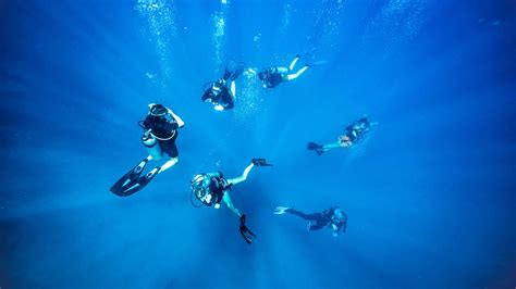 12 Facts About Scuba Diving