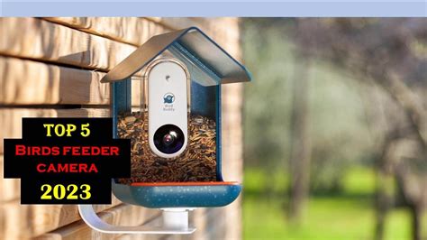 Best 5 BIRD FEEDING CAMERA 5 Best Bird Feeder Camera In 2023 Top 5 Best