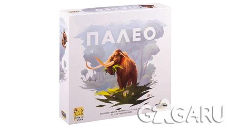 Настольная игра Палео - обзор, отзывы, фотографии | GaGaGames - магазин ...
