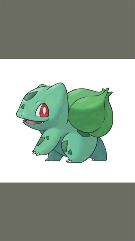 Bulbasaur Pokemon Bulbasaur Pokemon Pokemon Art