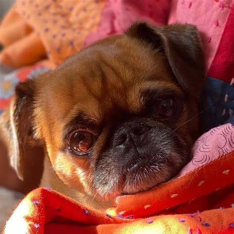 Ayako Morino Nude The Fappening Fappeninggram My Xxx Hot Girl