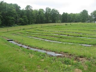 Serenity Valley Farm Black Plastic Mulch Application