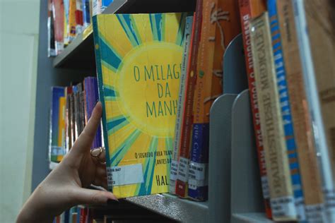 Conheça os 10 livros mais lidos em Garibaldi em 2020 Notícias