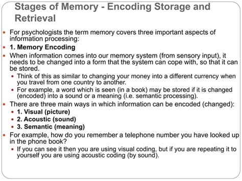 Stages Of Memory Encoding Storage And Retrieval PPT