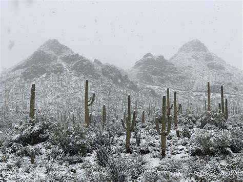 219 best Sonoran Desert images on Pholder | Earth Porn, Arizona and Tucson