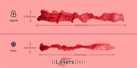 Jessica Durable Tantaly LB Torso Sex Dolls For Men