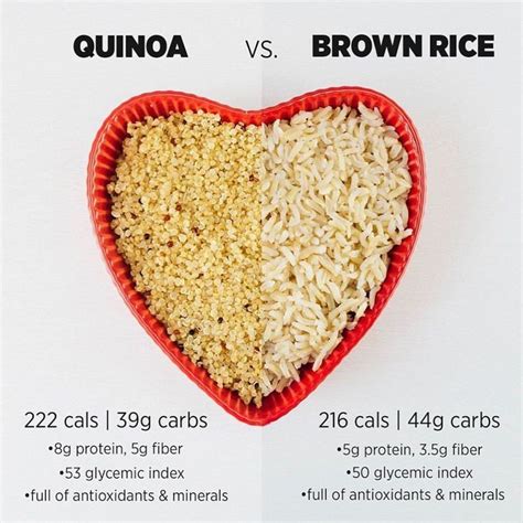 Quinoa vs. Brown Rice: Which Grain Wins the Protein Showdown? - Hunter Games Magazine