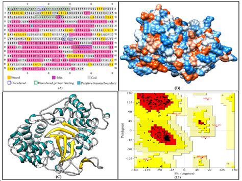 Structure Analysis Of The KpSMYD Protein And Cartoon Representation Of