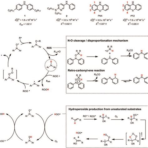 A Selected Diarylamine RTAs And Their Corresponding Inhibition Rate