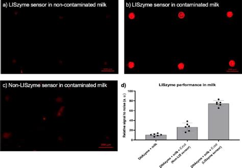 Effects Of Lis Treatment On Sensor Functionality A Fluorescence