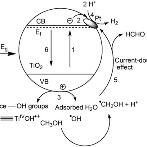 Schematic Representing The Proposed Steps For The Photocatalytic