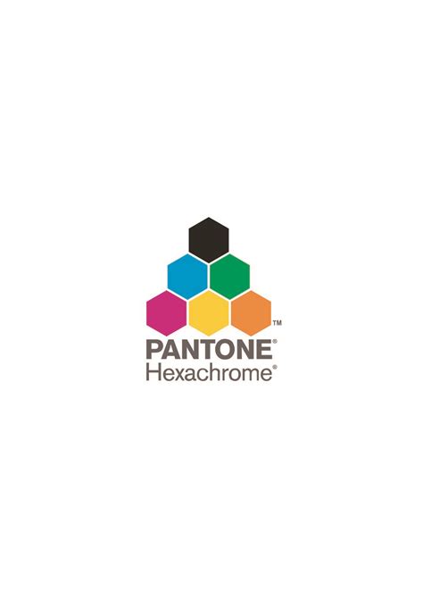 Logo PANTONE Arte Para Silk Vetorizada Arte Vetorizada