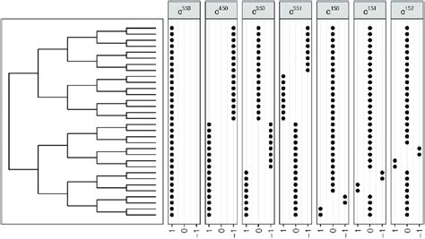 Illustration of the vectors c ijk for j = 5 and various values of i.... | Download Scientific ...