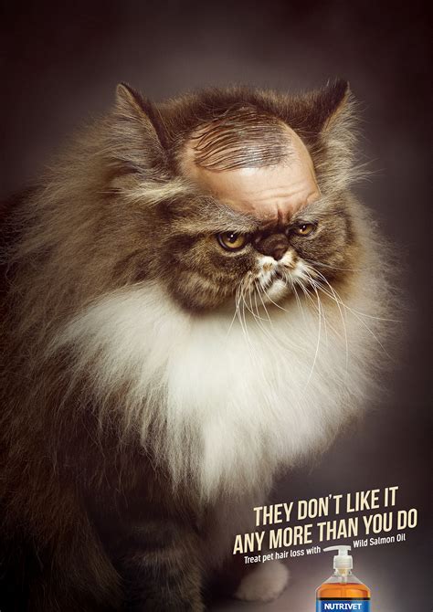 PRINT | Bald Animals - Cannes Lions 2014 on Behance