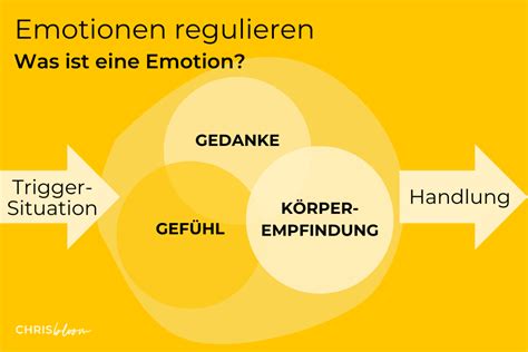 Emotionen Regulieren Tipps Um Deine Gef Hle Zu Lenken