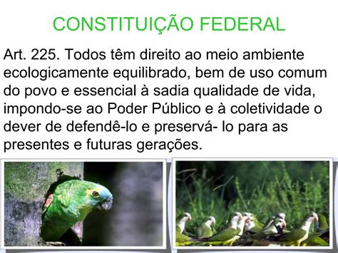 Direito Ambiental PPT