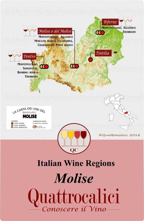 Il Vino In Molise Quattrocalici Le Regioni Del Vino Vino Vino