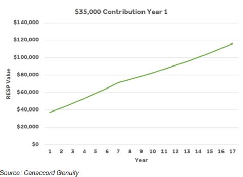 Guide To Resp Contribution Limit And Rules — Cg Cash Management Group