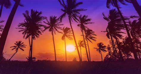 Palmeras De Coco De Silueta En La Playa Al Atardecer Tono Vintage