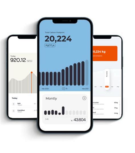 Carbon Purchase - Fils