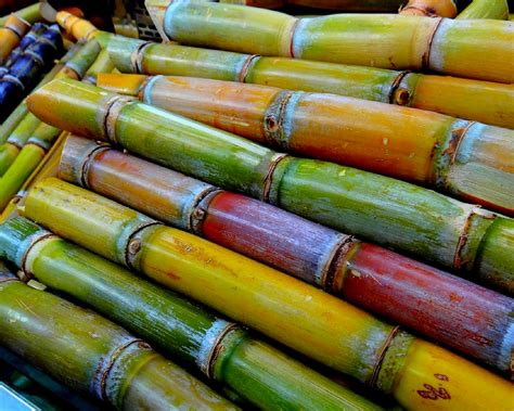 18 Spectacular Benefits Of Sugarcane