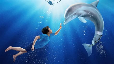 Dolphin Tale 2011 Backdrops — The Movie Database Tmdb