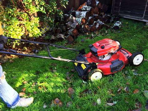 The Best Lawn Mowers For Mulching Leaves Will Save You Time And Improve