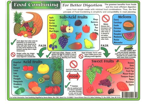 Fruits Perfect Food For Humans Evolving Wellness