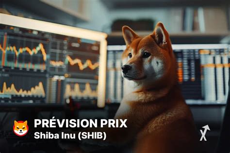 Shiba Inu SHIB Cours et Prédictions 2024 2025 2030 et 2040