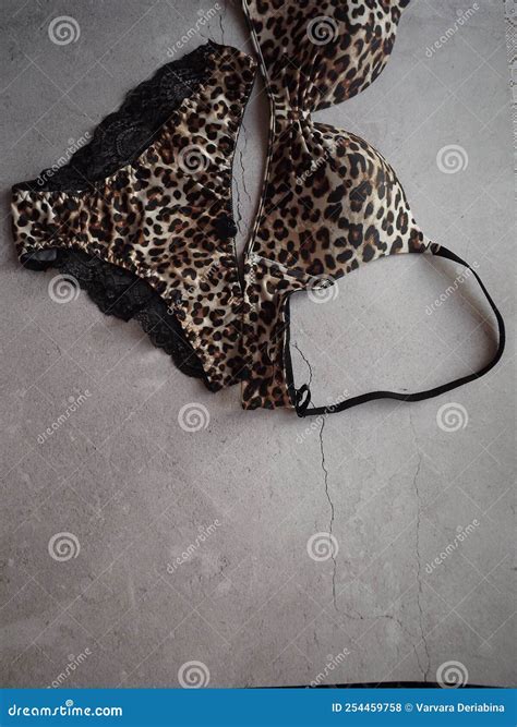 Leopard Lingerie Set With Lace Panties On Gray Background Stock Photo Image Of Lifestyle
