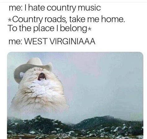 Cat Singing Country Roads Meme - jhayrshow