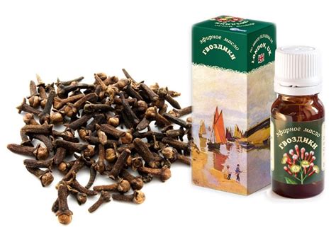 Масло гвоздики – свойства