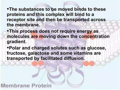 Structure & function of cell membrane | PPT