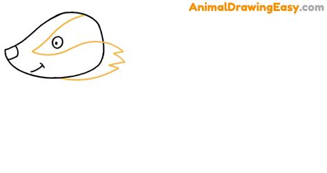 How to Draw a Badger - Animaldrawingeasy.com