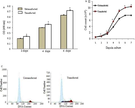 Proliferation Investigated In Control Cells HUCMSCs And HTERThUCMSCs