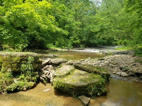 Best 10 Hikes and Trails in Clifty Falls State Park | AllTrails