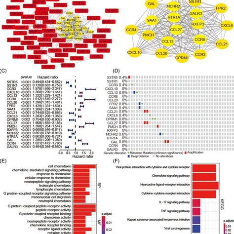 Identification Of Hub IRGs And Exploring Their Biological Function The