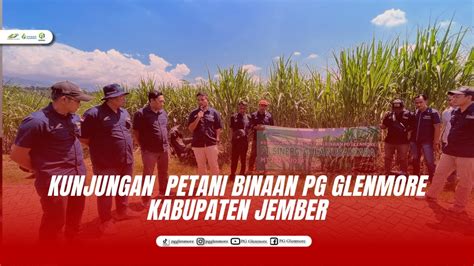 Berita Video Kunjung Lapang Petani Binaan Pg Glenmore Youtube