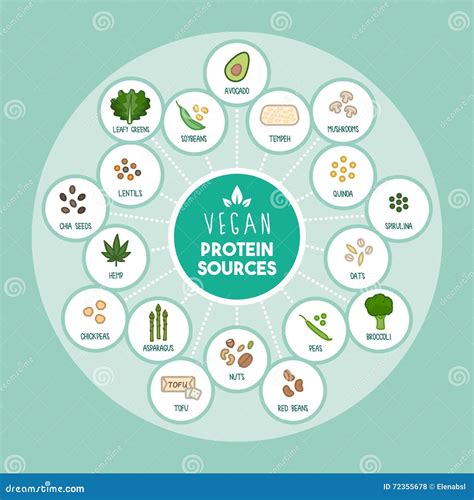 Protein Cartoons Illustrations Vector Stock Images Pictures